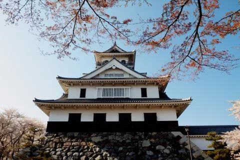 Beautiful sakura with temple Stock Photos