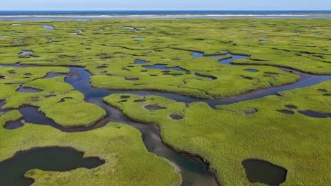 A Beautiful Salt Marsh Grows on Cape Cod, MA Stock Footage 342270359