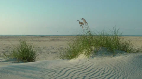 Beautiful sand dune beach landscape, Holden Beach Stock Footage 36955955