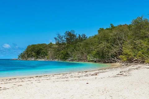 Beautiful Sandy Beach At Anse St Jose Stock Photos