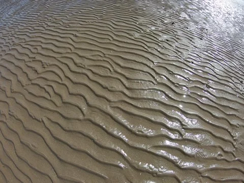 Beautiful sandy beach with bright reflected blue sky. Stock Footage 151655899