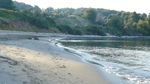 Beautiful Sandy Beach Stock Footage 54914559