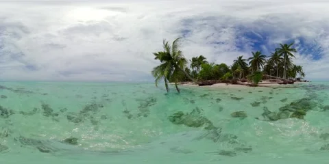 Beautiful sandy beach with palm trees. Virtual Reality 360. 8k Video. Stock Footage 204885845