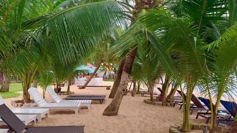 Beautiful sandy beach with palm trees on Phu Quoc Island. Stock Footage 303022766