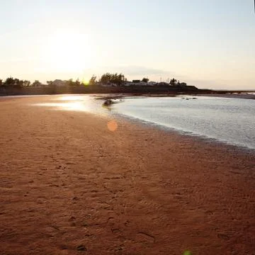 Beautiful sandy beach Stock Photos
