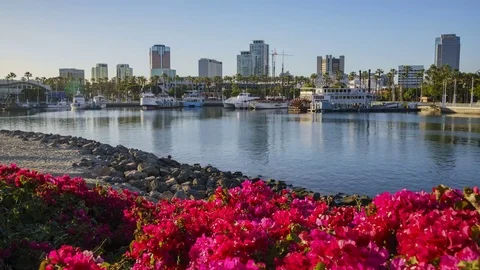 Beautiful scene around Rainbow Harbor Stock Footage