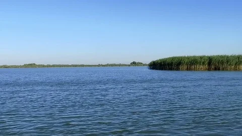 Beautiful scene in Danube Delta Stock Footage 80280660