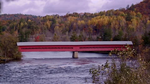 Beautiful scene. Stock Footage 141626850