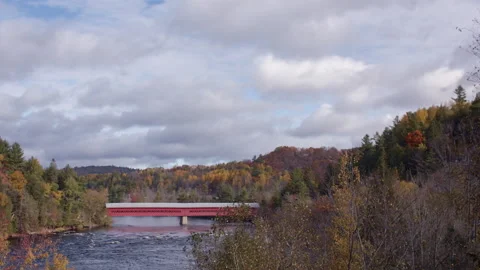 Beautiful scene. Stock Footage 141626886