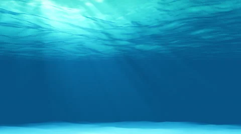 Beautiful scene light underwater in Caribbean lagoon, loop 4K Stock Footage