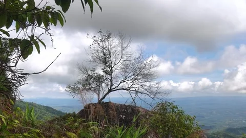 Beautiful scene of mountain and cloud landscape on a sunny day Stock Footage 310039871