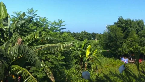 Beautiful scene of nature Video stock 283345842