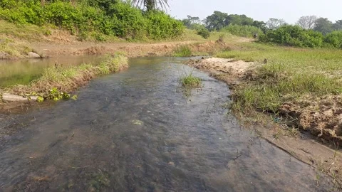 Beautiful scene of of river. Stock Footage 167714069