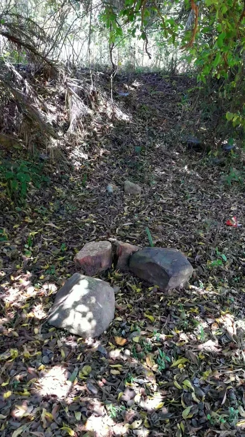 Beautiful scene with rocks in the middle Stock Footage 127635730