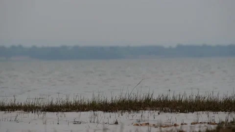 Beautiful scene of water surface background, nice scene Stock Footage 151894551
