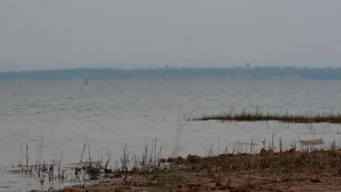 Beautiful scene of water surface background, nice scene Stock Footage 151894569