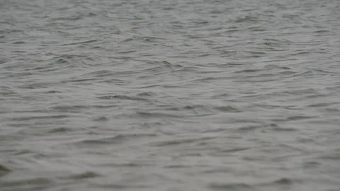 Beautiful scene of water surface background. Stock Footage 151895405