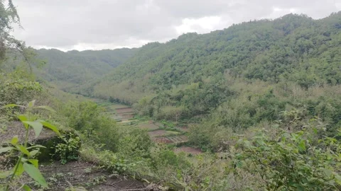 Beautiful scenery of ancient solo river Stock Footage 218431806