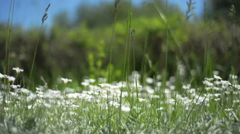 Beautiful scenery with camera dolly Stock Footage 60937641