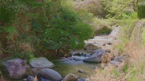 Beautiful scenery of a clear river flowing through mountain rocks Stock Footage 332866140