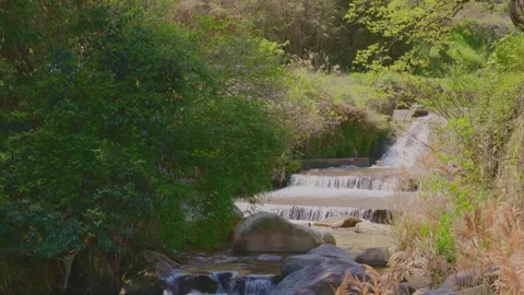 Beautiful scenery of a clear river flowing through mountain rocks Stock Footage 332866141