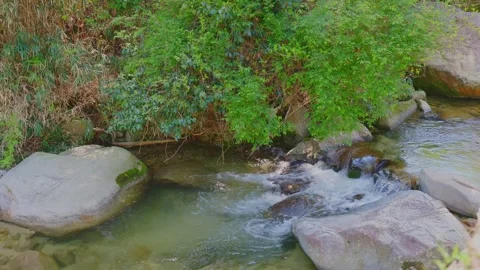 Beautiful scenery of a clear river flowing through mountain rocks Stock Footage 332866143