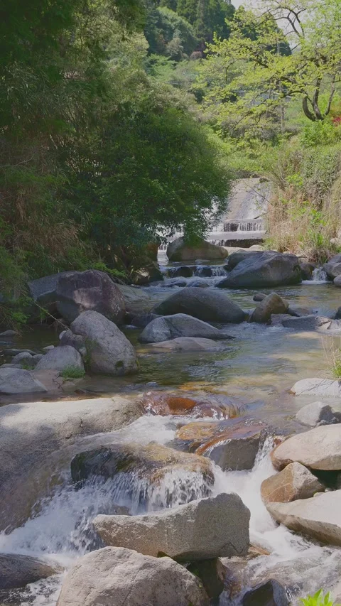 Beautiful scenery of a clear river flowing through mountain rocks Vídeos de archivo 332870654