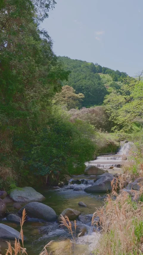 Beautiful scenery of a clear river flowing through mountain rocks Vídeos de archivo 332870658