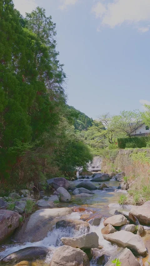 Beautiful scenery of a clear river flowing through mountain rocks Vídeos de archivo 332870659
