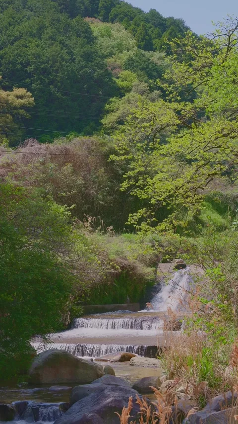Beautiful scenery of a clear river flowing through mountain rocks Vídeos de archivo 332870671