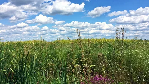 Beautiful scenery. Clouds move over the meadow. Time lapse. Stock Footage 158753662