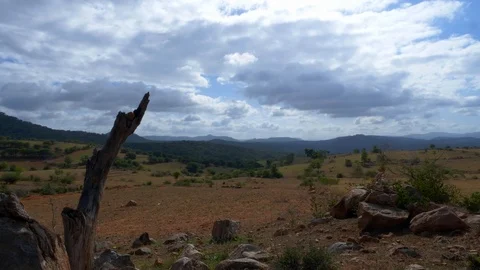 Beautiful scenery of clouds moving in slow motion, rural India Stock Footage 111303896