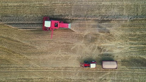 Beautiful scenery of fields during harvest in northern Poland Stock Footage 236542143