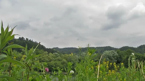 Beautiful Scenery Video stock 5262793