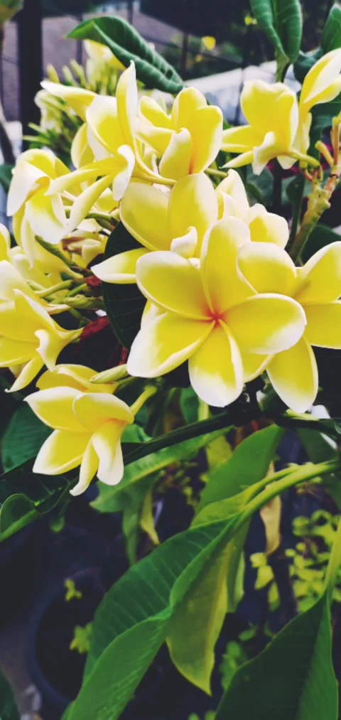 Beautiful scenery Stock Footage 212563418