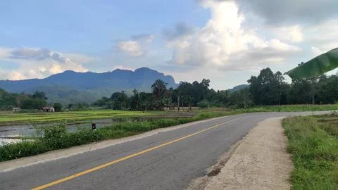 Beautiful scenery of paddy fields between the hills. Фото