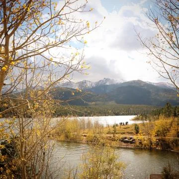 Beautiful Scenery Stock Photos