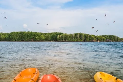 Beautiful scenery of the red hawks while flying to find food with kayaks floa Stock Photos