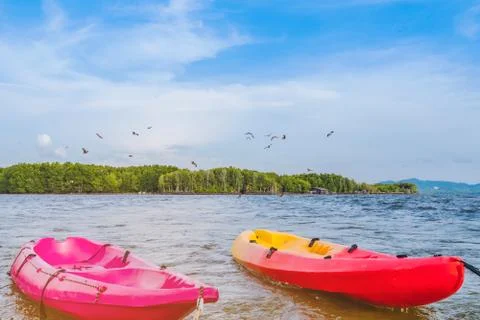 Beautiful scenery of the red hawks while flying to find food with kayaks floa Stock Photos