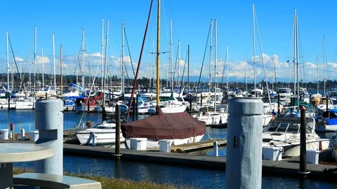 Beautiful scenery of Semiahmoo  Washington  USA Stock Footage 99091253