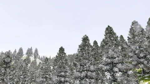 Beautiful scenery of snow-covered forests in winter Stock-Footage 324455353