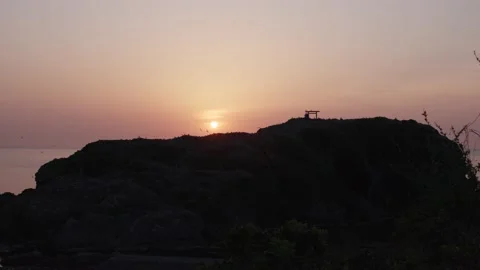 Beautiful Scenery with Sun down and a black‐tailed gull Stock Footage 131284342
