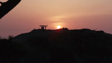 Beautiful Scenery with Sun down and a black‐tailed gull Stock Footage 131284353