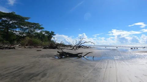 Beautiful Sea Beach Stock Footage 259137201