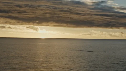 Beautiful-sea-clouds-sunset-ship-sky-dolphins Video stock 85475191