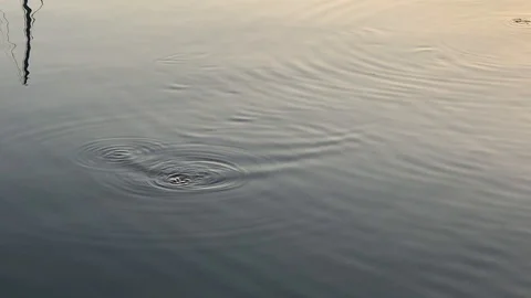 The beautiful sea Stock Footage 123298428