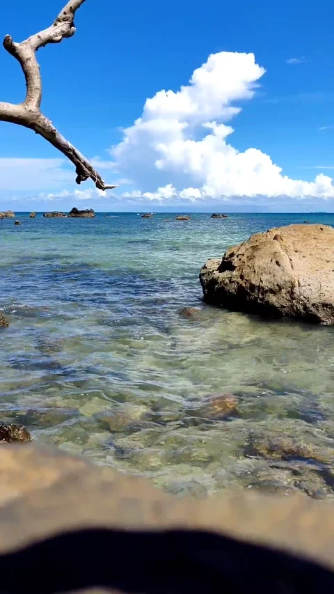 Beautiful sea Stock Footage 245999189