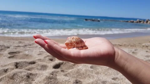 A beautiful sea shell in the hand of a young woman Vídeos de archivo 219868393