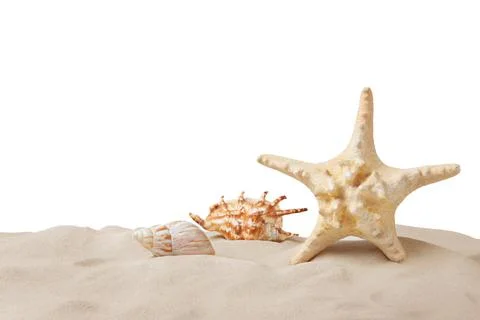 Beautiful sea star and seashells in sand on white background 写真素材