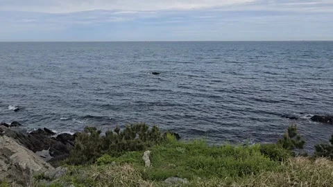 Beautiful sea view Stock Footage 274077285